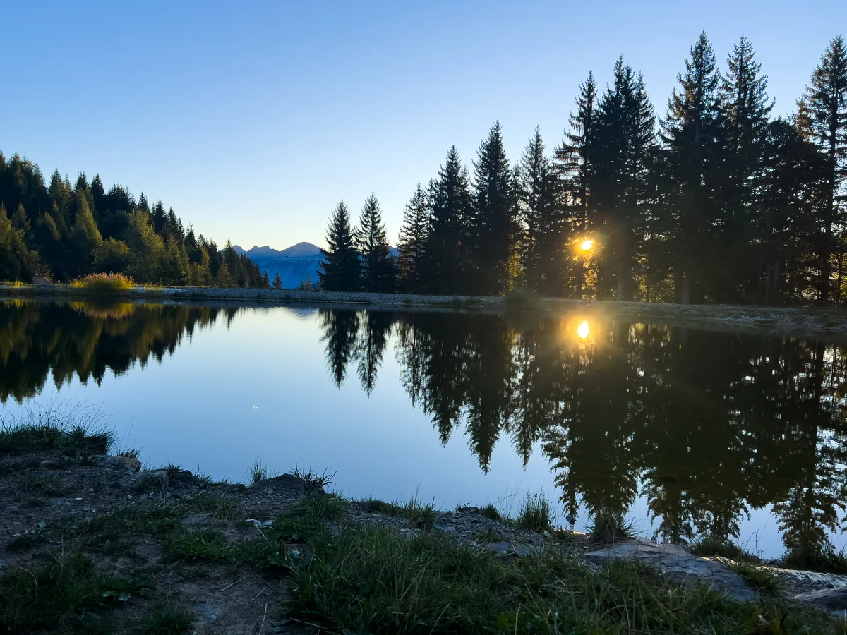 Mountain lake near Les Gets at sunrise, pine trees reflected in still water