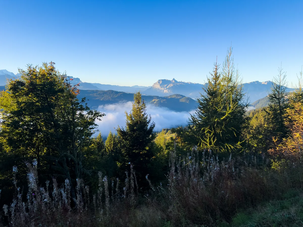 Cloud filling the valley below forested slopes, with mountain peaks under a clear blue sky