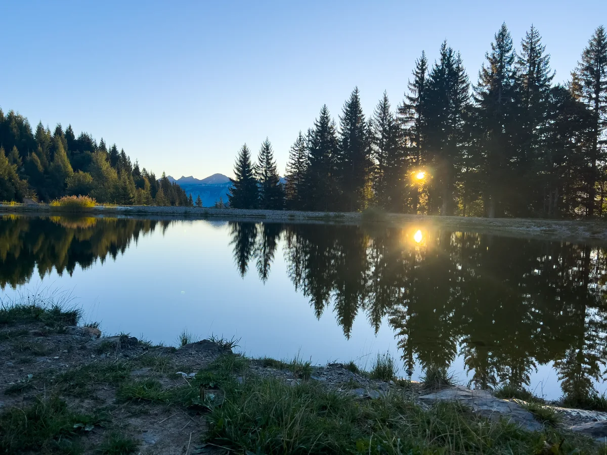 Lumière du matin sur le réservoir près du Belvédère du Mont Chéry, sapins reflétés dans l'eau calme