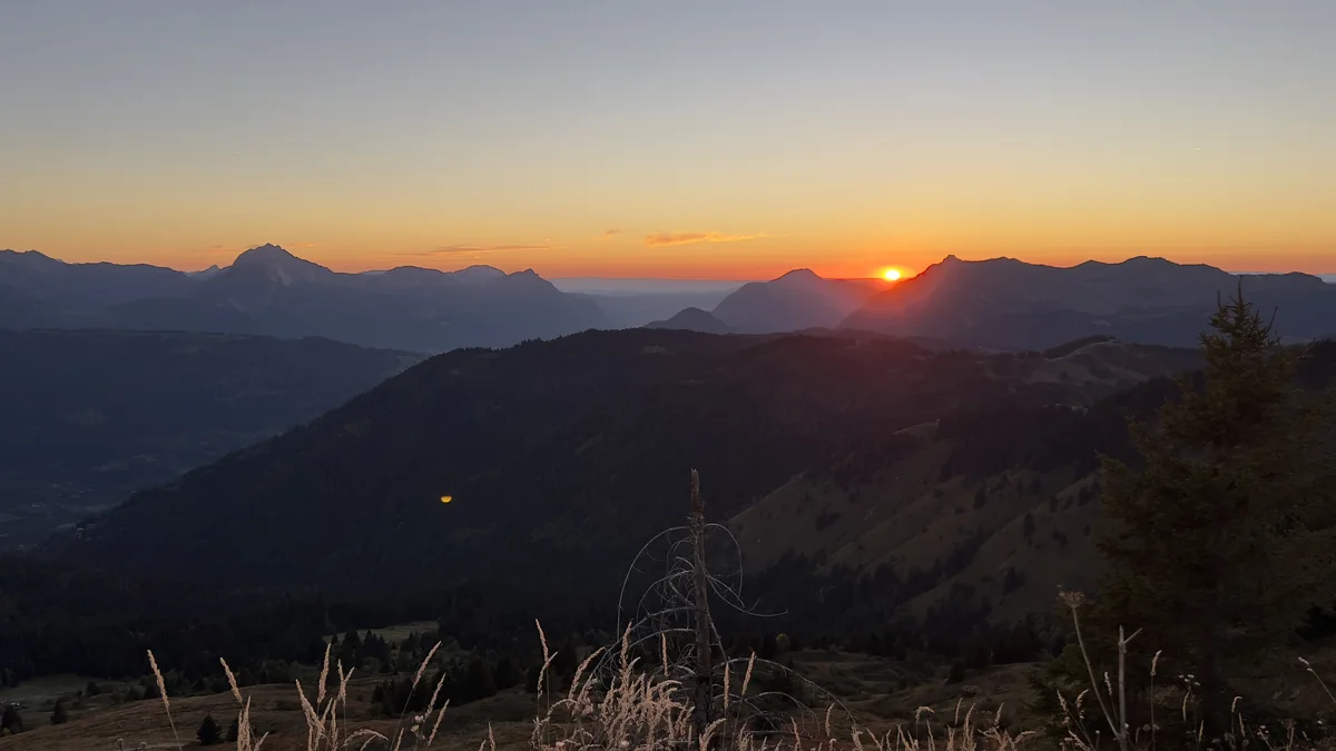 Le soleil se couche entre des crêtes montagneuses au-dessus de pentes boisées, avec des herbes sèches au premier plan.