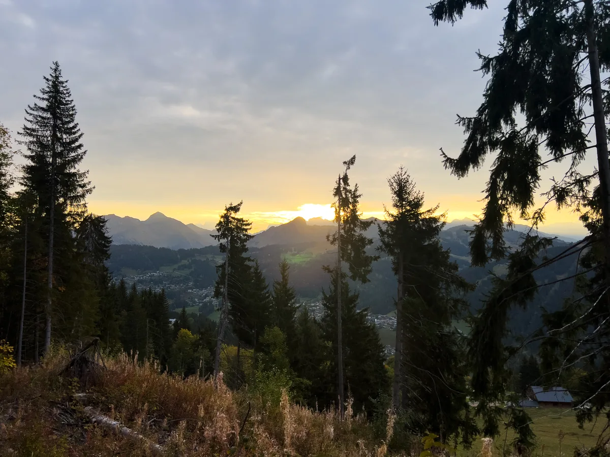 Le soleil se levant derrière les montagnes, vu à travers de grands sapins au-dessus du village.